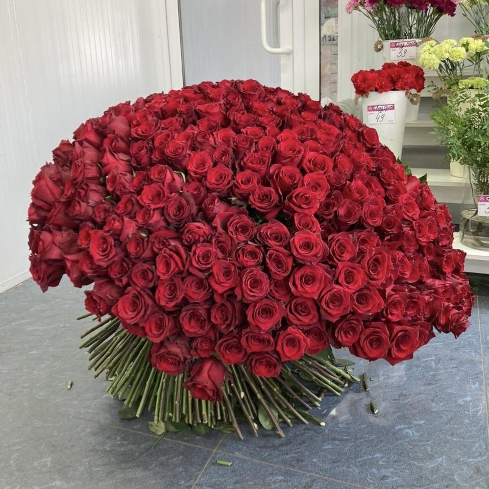 Букеты из красных роз 80 см (Эквадор) [Артикул  197556]