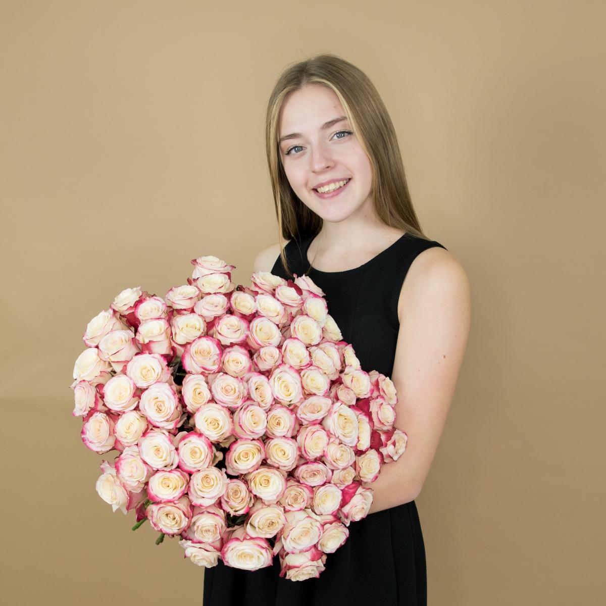 Розы красно-белые 75 шт 40 см (Эквадор) [артикул букета: 86879]