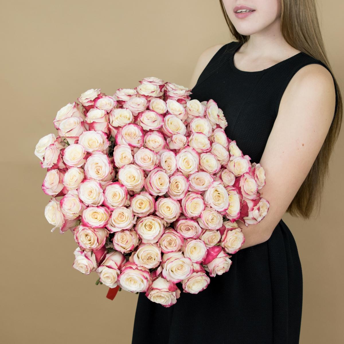Розы красно-белые 101 шт. (40 см) код товара - 87042