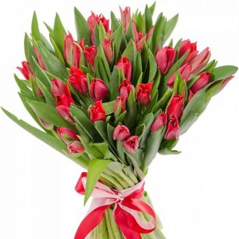 Красные тюльпаны 25 шт articul: 141810
